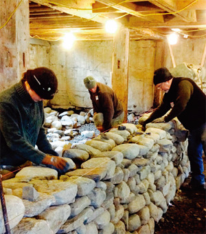 캐나다 돌담협회 ‘더 스톤 트러스트’의 돌담 쌓기 워크숍 모습. [사진 제공·The Stone Trust]
