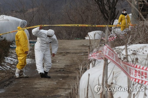 (연천=연합뉴스) 임병식 기자 = 8일 오후 경기도 연천군 군남면의 한 젖소 사육 농가에서 방역 당국 관계자들이 출입을 통제하고 있다.2017.2.8 andphotodo@yna.co.kr