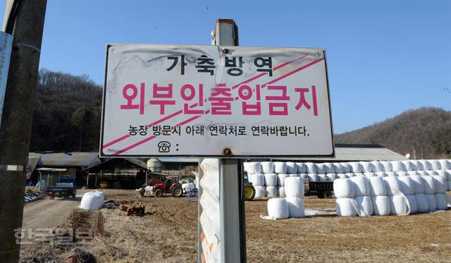 구제역 확산으로 비상이 걸린 경기도 연천군의  축산농가 밀집 지역 입구에  출입을 통제 하는 안내문이  붙어 있다.  백신 접종을 끝낸 연천군의  소 사육 농가는 외부인의 출입을 철저히 통제 하며 구제역 확산을 막기 위해 총력을 기울이고 있다. 신상순 선임기자