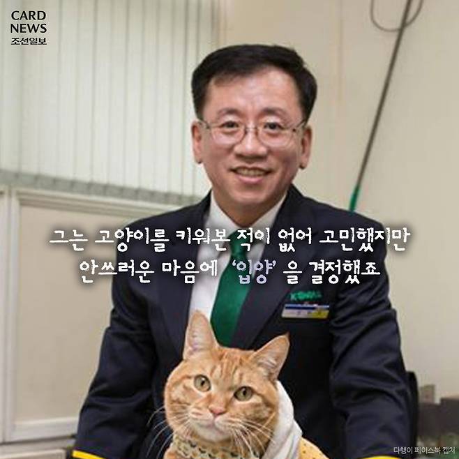  행방불명된 다행이를 찾습니다 | 인스티즈