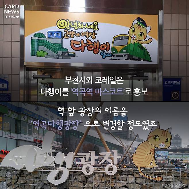  행방불명된 다행이를 찾습니다 | 인스티즈