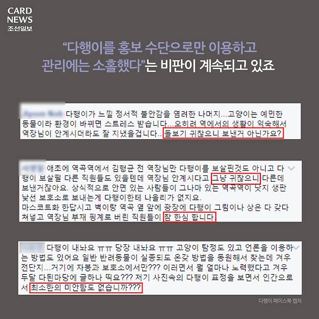  행방불명된 다행이를 찾습니다 | 인스티즈