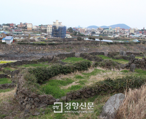 화북동에 있는 곤을동도 군인들에 의해 마을 주민이 사살되고 집이 불타 집터와 돌담만 남아 ‘잃어버린 마을’이 됐다.