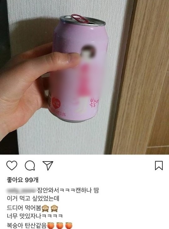 낮은 도수와 달콤한 맛으로 여성들 사이에서 인기를 끌고 있는 과일주. /사진=인스타그램