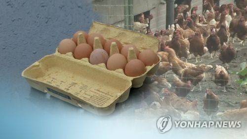[연합뉴스TV 제공]