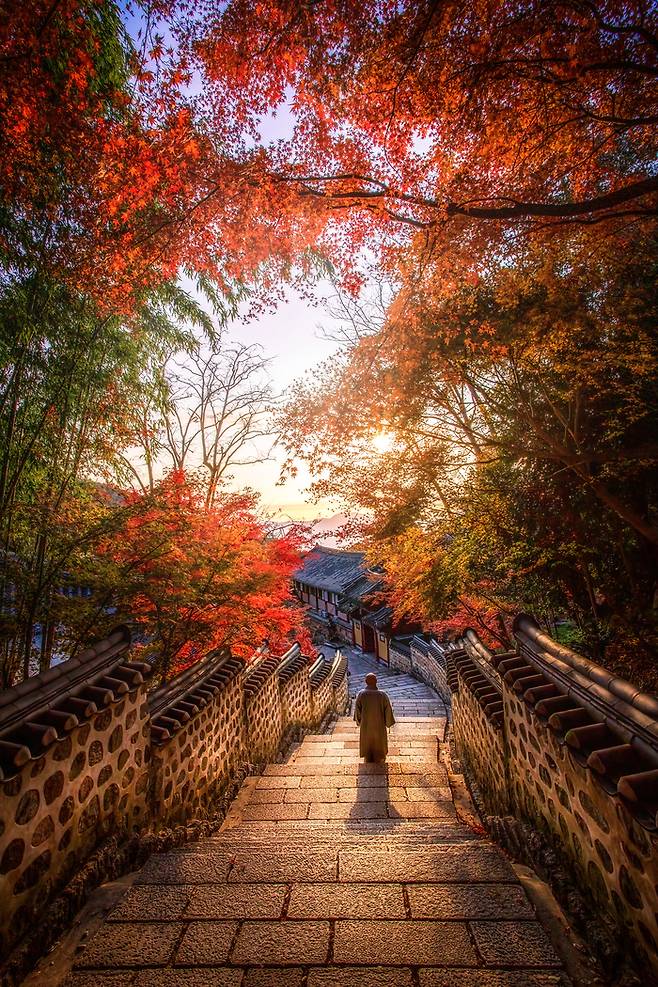 2025 대한민국 관광공모전 사진부문 은상 ‘만추의 범어사’ / 사진 = 한국관광공사