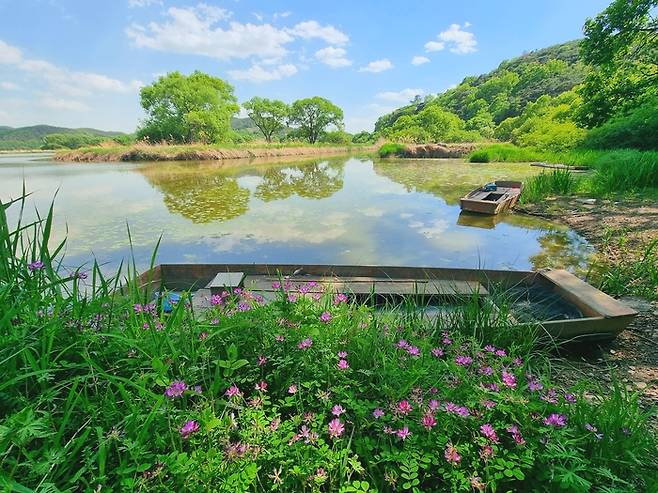 2025 대한민국 관광공모전 사진부문 은상 ‘동화같은 우포’ / 사진 = 한국관광공사