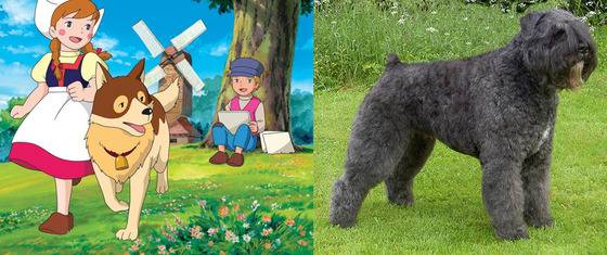 TV만화시리즈 '플란다스의 개' 파트라슈와 모델견 부비에 데 플랑드르.(사진출처 구글)© News1