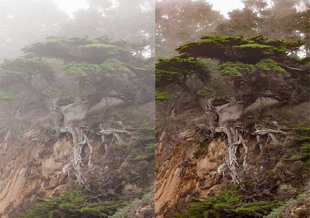 포토샵 CC의 디헤이즈 기능