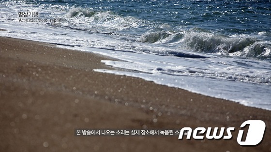 KT스카이라이프 여름맞이 특별 프로그램 대거 편성. © News1