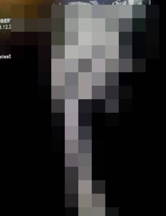 세상에서 가장 큰 성기를 지닌 남성이 화제다.  사진은 X레이 사진의 변형된 모습. © News1스타 / 유튜브 캡처