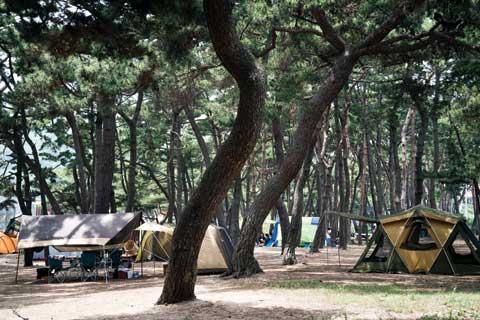 [월간산]옹암해수욕장과 한들해수욕장의 해송숲이 텐트를 치기 좋은 곳이다.