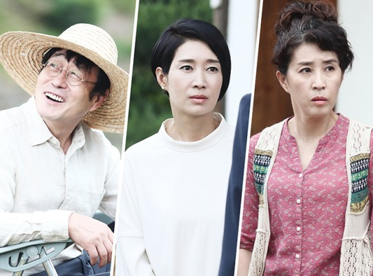 김창완, 나영희, 김미경