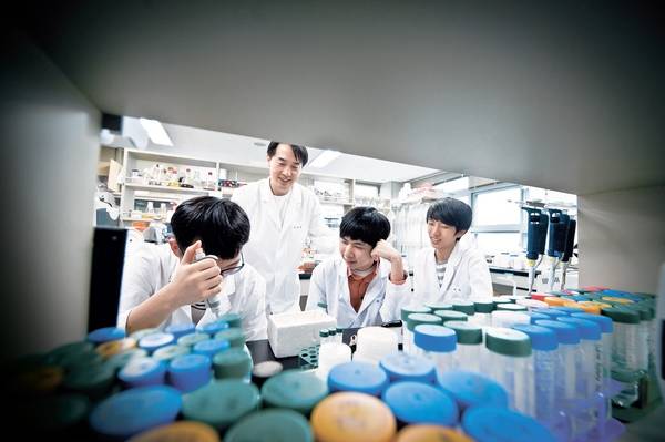 한과영 2학년 박재영(왼쪽)군이 ‘여러가지 리파아제 분비 생산 및 이의 활용방안 탐구’에 대한 실험을 위해 폐식용유에 효소를 넣고 있다. 안정훈 한과영 생물교사와 유시현·이승우군이 실험을 지켜보고 있다.