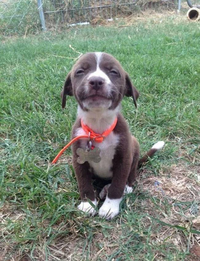 [사진출처=Boredpanda]