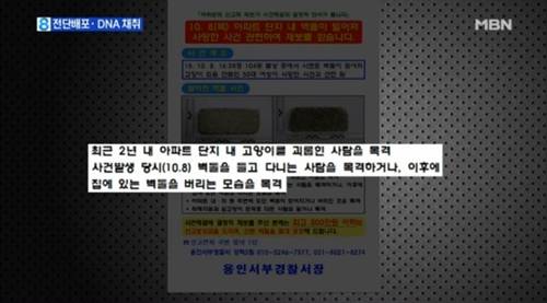 도넘은 캣맘 혐오증