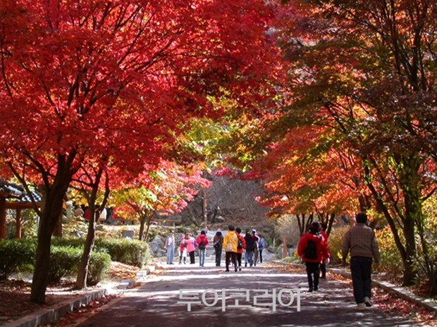 소요산 단풍길