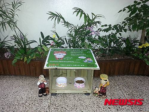 【서울=뉴시스】강동구, 길고양이 급식소 60개로 확대 운영