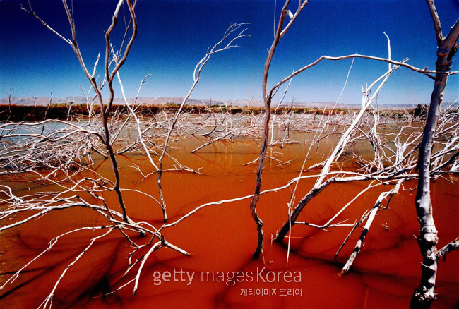 ②캘리포니아의 솔턴 호수는 환경파괴로 인해 붉은색을 띠고 있는 호수물