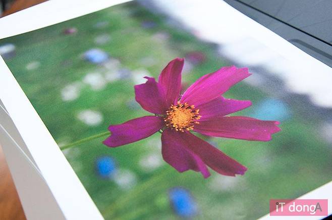 HP MFP M477fdw 사진 출력