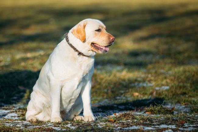 [사진출처=123RF]