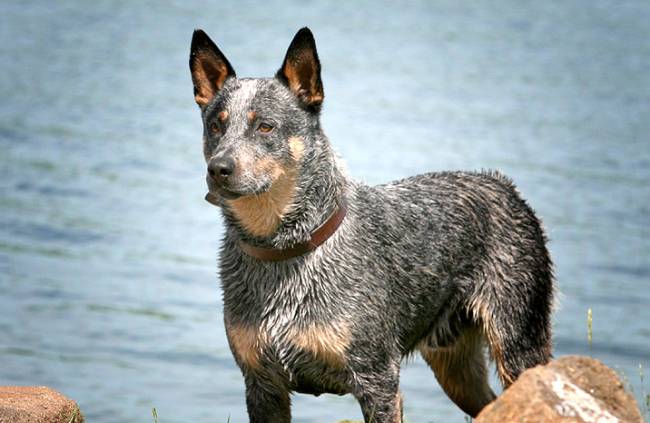 [사진출처=123RF]