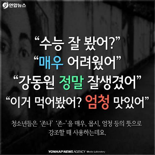"수능 잘 봤어?" "매우 어려웠어" "강동원 정말 잘생겼어" "이거 먹어봤어? 엄청 맛있어" 청소년들은 '존나' '존?'을 매우, 몹시, 엄청 등의 뜻으로 강조할 때 사용하는데요.