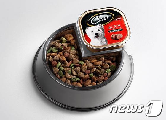 습식사료와 건사료를 혼합해 급여하면 균형 잡힌 영양을 공급하는 것은 물론, 강아지에게 다양한 식감으로 즐거운 식사를 제공할 수 있다. (사진 애견사료 전문 브랜드 시저 제공)© News1