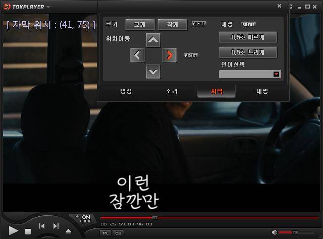 자막 조정 기능