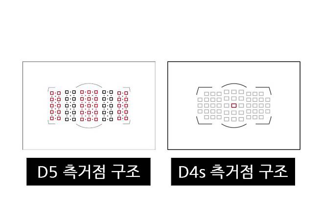 D5, D4s의 측거점 구조