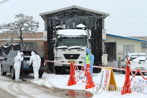 '방역 철저' 고창 구제역 발생 농가     (고창=연합뉴스) 김진방 기자 = 14일 오전 전북 고창군 무장면 구제역 발생 돼지 농가에서 방역요원들이 출입을 통제하고 방역을 하고 있다. 전북에서는 김제에 이어 고창에 두번째 구제역이 발생했다. 2016.1.14     chinakim@yna.co.kr