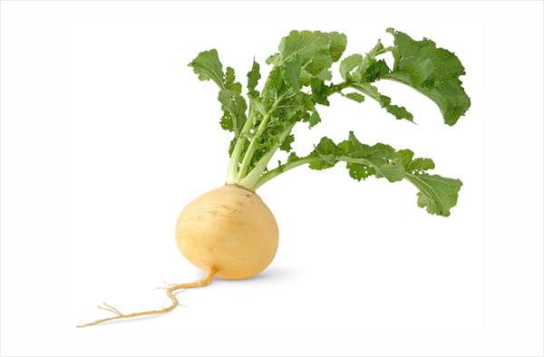 [사진출처=123RF]