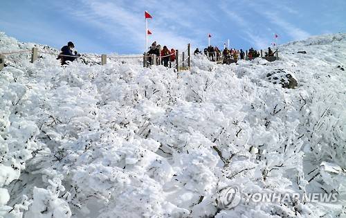 한라산 영실코스 <<연합뉴스 자료사진>>
