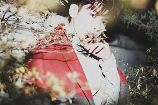 려욱
