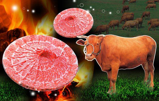 ⓒ 게티이미지뱅크