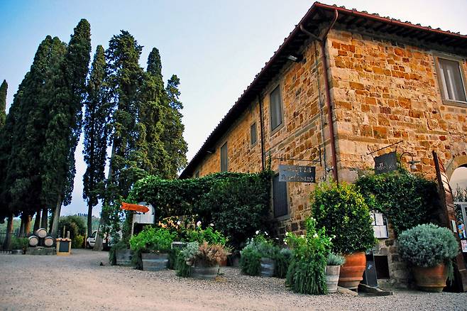 끼안띠를 대표하는 와이너리, 안티노리.