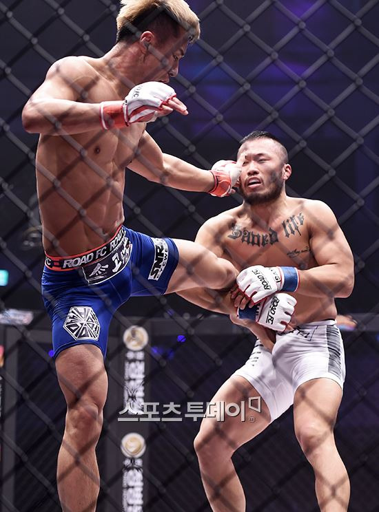 조병옥,김형수