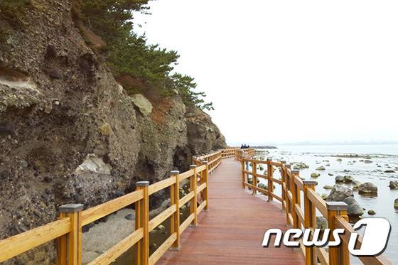 포항시 호미반도권 해안둘레길의 일부가 개통됐다.사진은 해안 데크. (포항시 제공)© News1travel