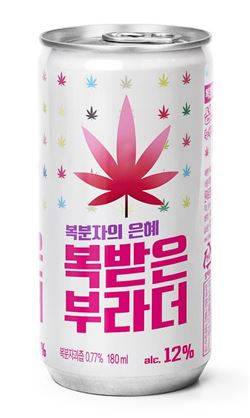 보해 '복받은 부라더 CAN'