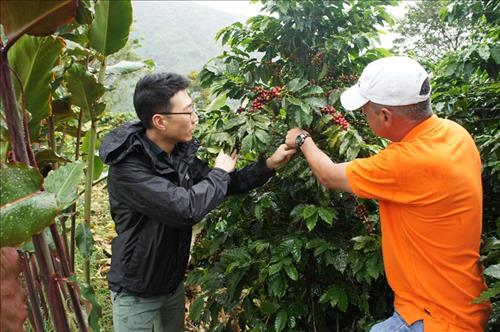 BGF리테일 상품기획자(MD)가 콜롬비아 현지에서 커피 생두를 살펴보는 모습.