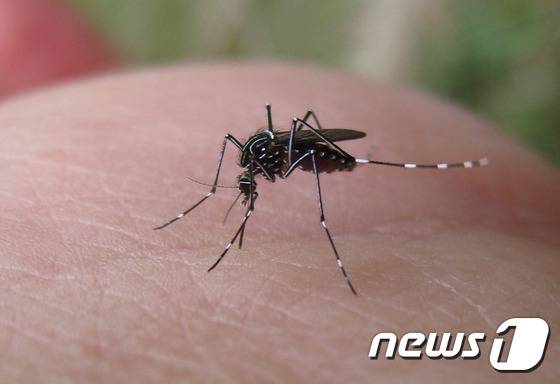 자료사진. © News1 travel DB