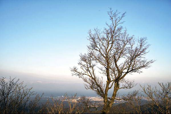 [월간산]대관령 위 영동고속도로 준공기념비 옆에 새겨진 바람의 지문.