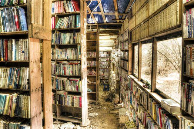 숲 속에 자리한 ‘새한서점’. 낭만적인 분위기로 오래된 연인들을 끌어들이는 곳이다. 한덕동기자