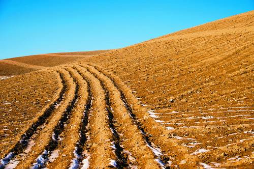 파란 하늘과 황톳빛 배추밭