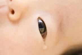 [자료=일본 여성잡지 &lsquo;마마스타&rsquo;]