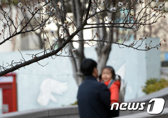 꽃샘추위 속 벚꽃나무. © News1 최현규 기자