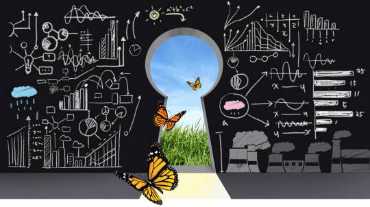 그래픽=김연아 기자 yuna@