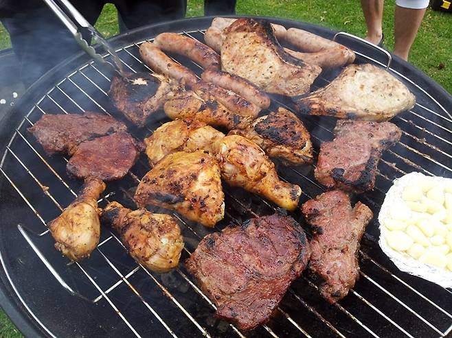 얼마 전 `꽃청춘`에 나왔던 아프리카의 바비큐 `브라이`