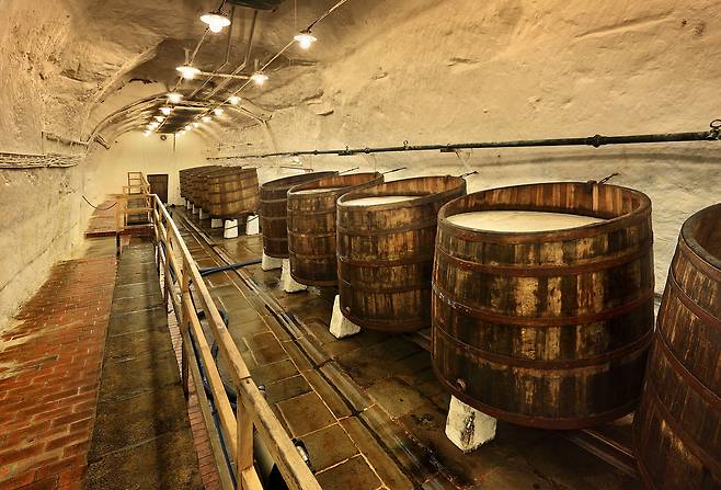 플젠스키 프라즈드로이 지하저장고에 놓인 오크통. [사진 체코관광청]