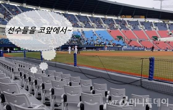잠실야구장 익사이팅존./사진=뉴스1
